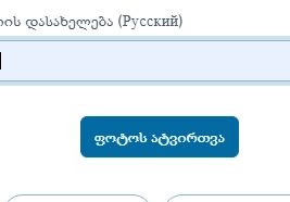 dish category comeul