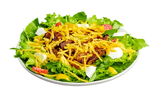 dish category Salads