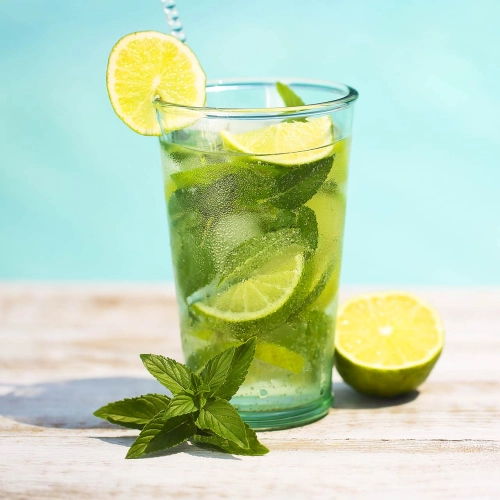 dish category MOCKTAIL (NO ALCOHOL)